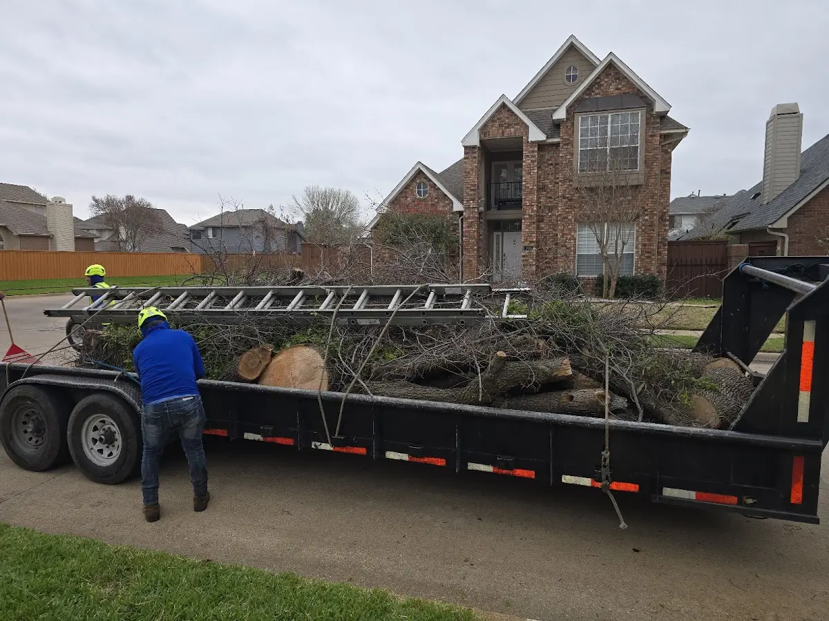 Expert Tree Removal with proper safety equipment in Brush Creek